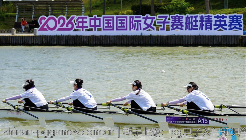 新手上路：pg电子入门知识全解析，轻松开启游戏之旅